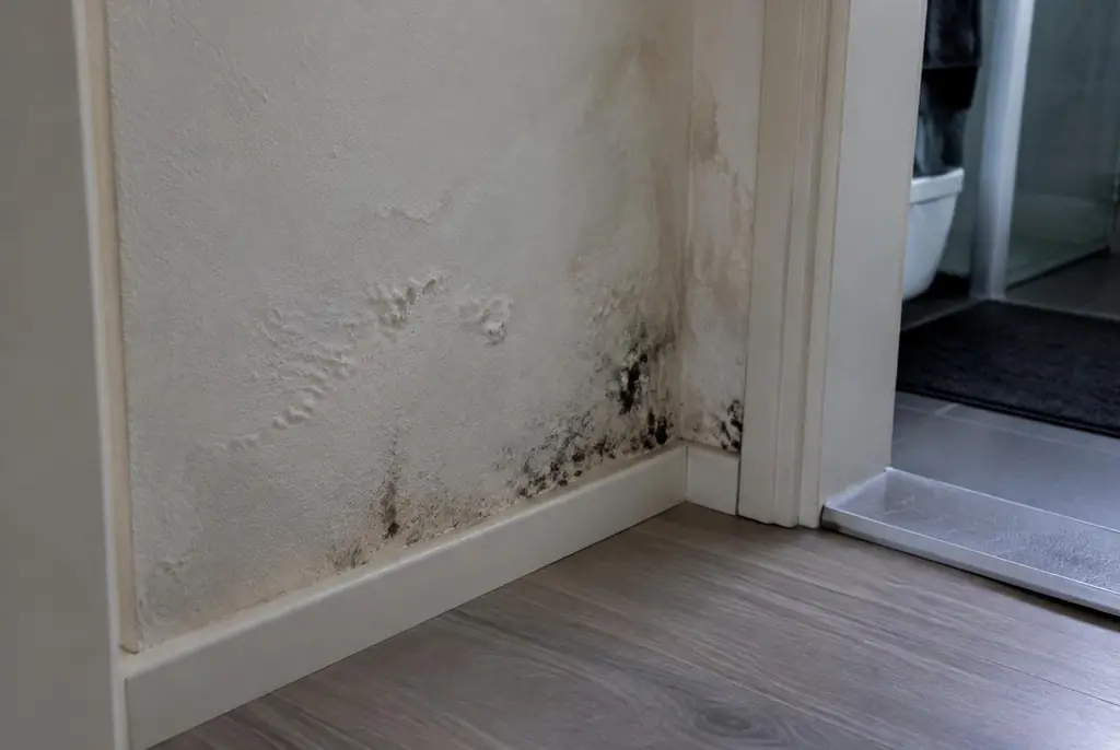 Lekdetectie Opheusden – vochtplek met schimmel op een muur
